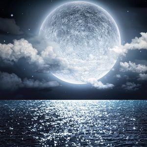 Meet your Posher, Cesar